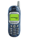 Best available price of Motorola T190 in Myanmar