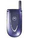 Best available price of Motorola V66i in Myanmar